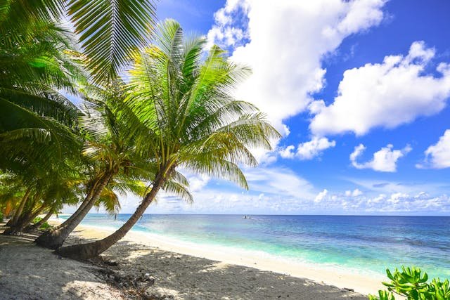 organisation de vacances en Martinique